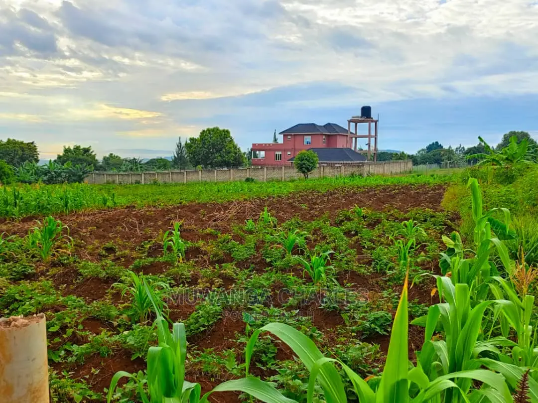 50decimals in Kajjansi Bweya for Sale