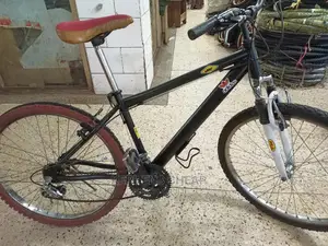 Adults Bicycles 1