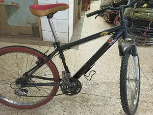 Adults Bicycles 1
