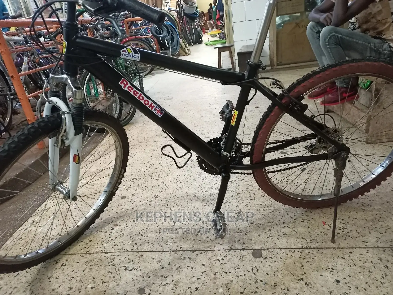 Adults Bicycles 1