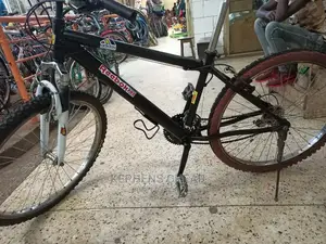 Adults Bicycles 1