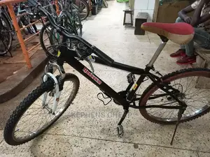 Adults Bicycles 1