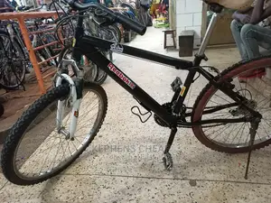 Adults Bicycles 1