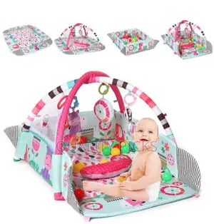 Baby Play Gym
