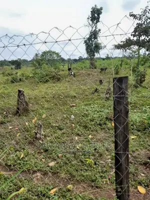 10acres of Land for Sale in Nakasongola