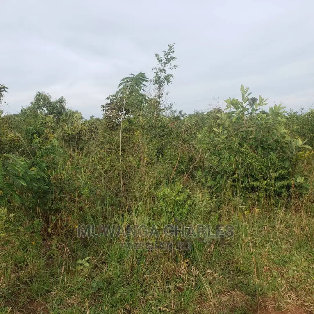10acres of Land for Sale in Nakasongola