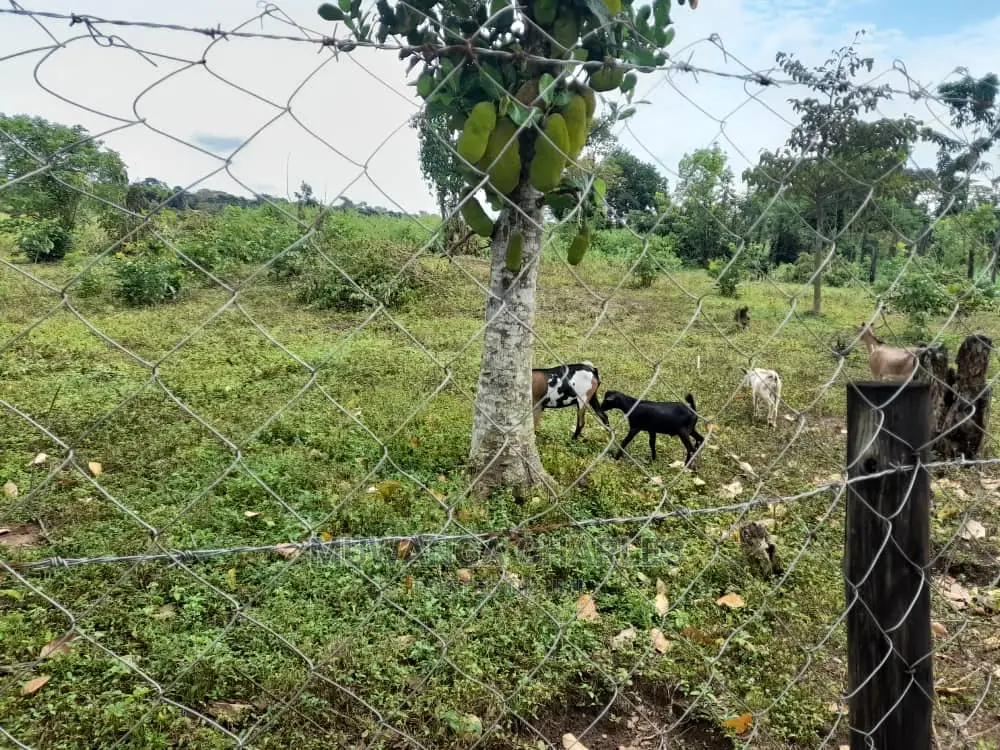 10acres of Land for Sale in Nakasongola