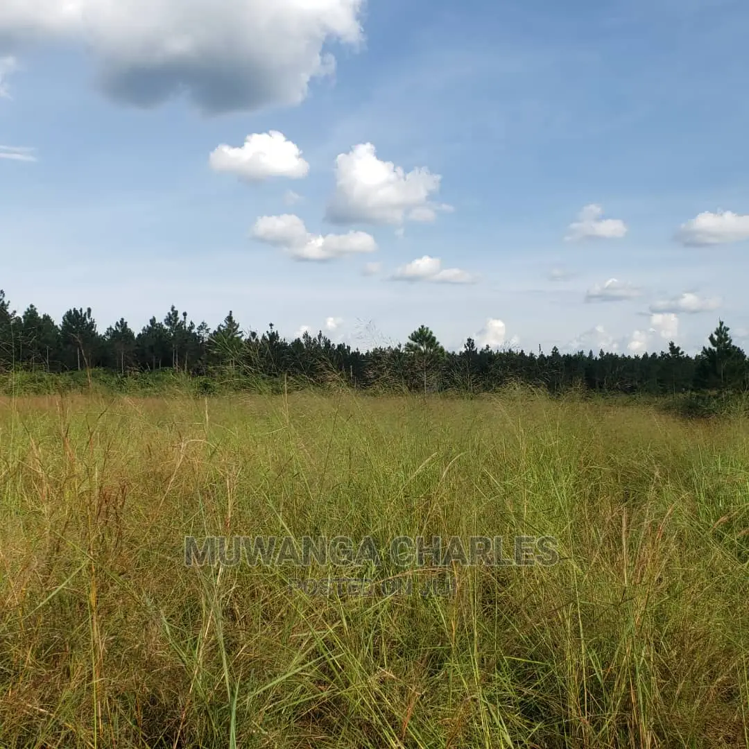 10acres of Land for Sale in Nakasongola