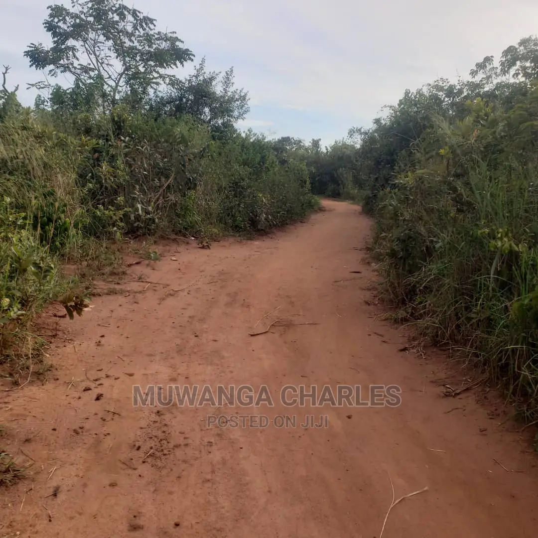 10acres of Land for Sale in Nakasongola