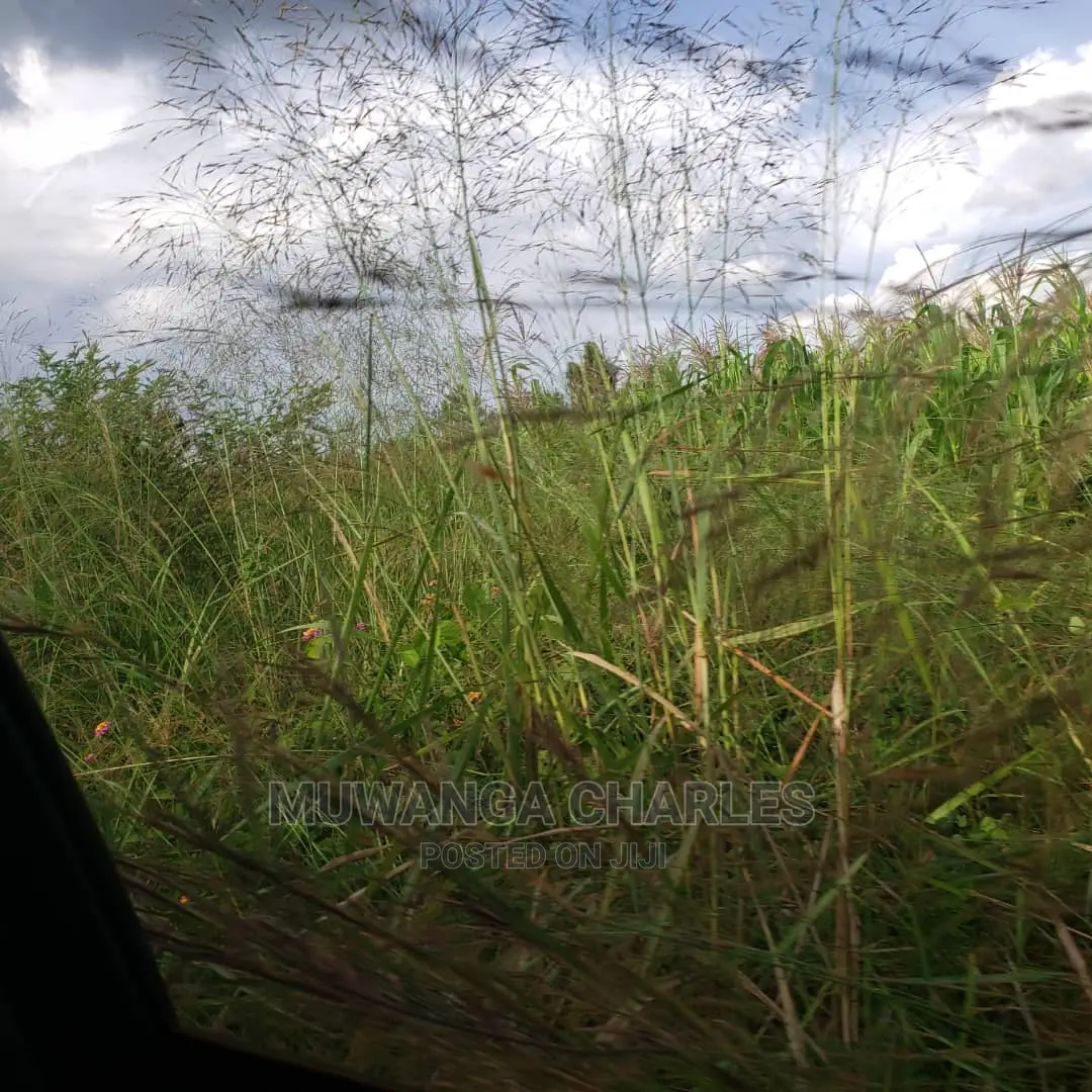 10acres of Land for Sale in Nakasongola