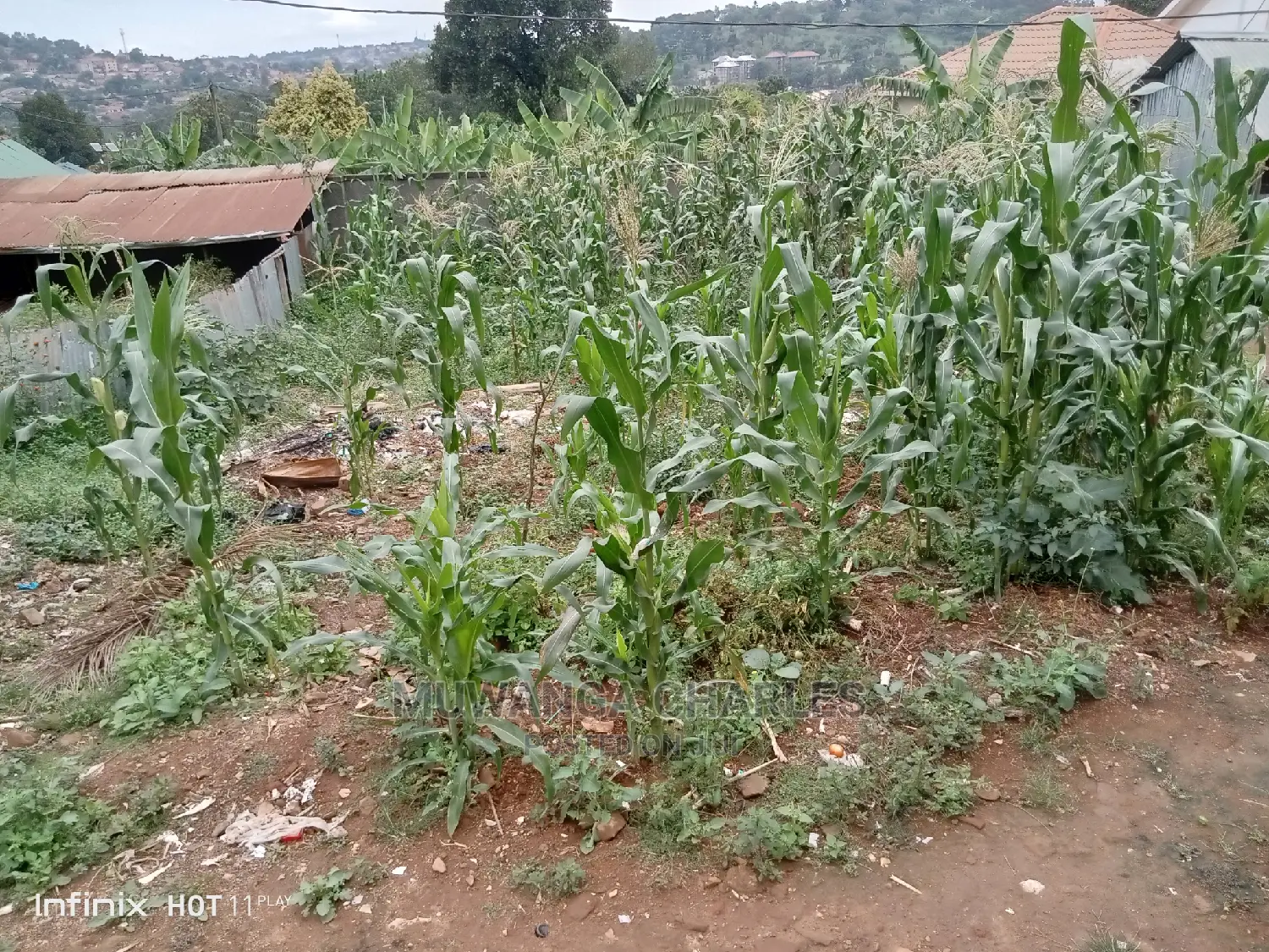 50decimals of Land for in Kyebando