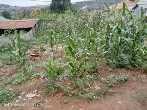 50decimals of Land for in Kyebando