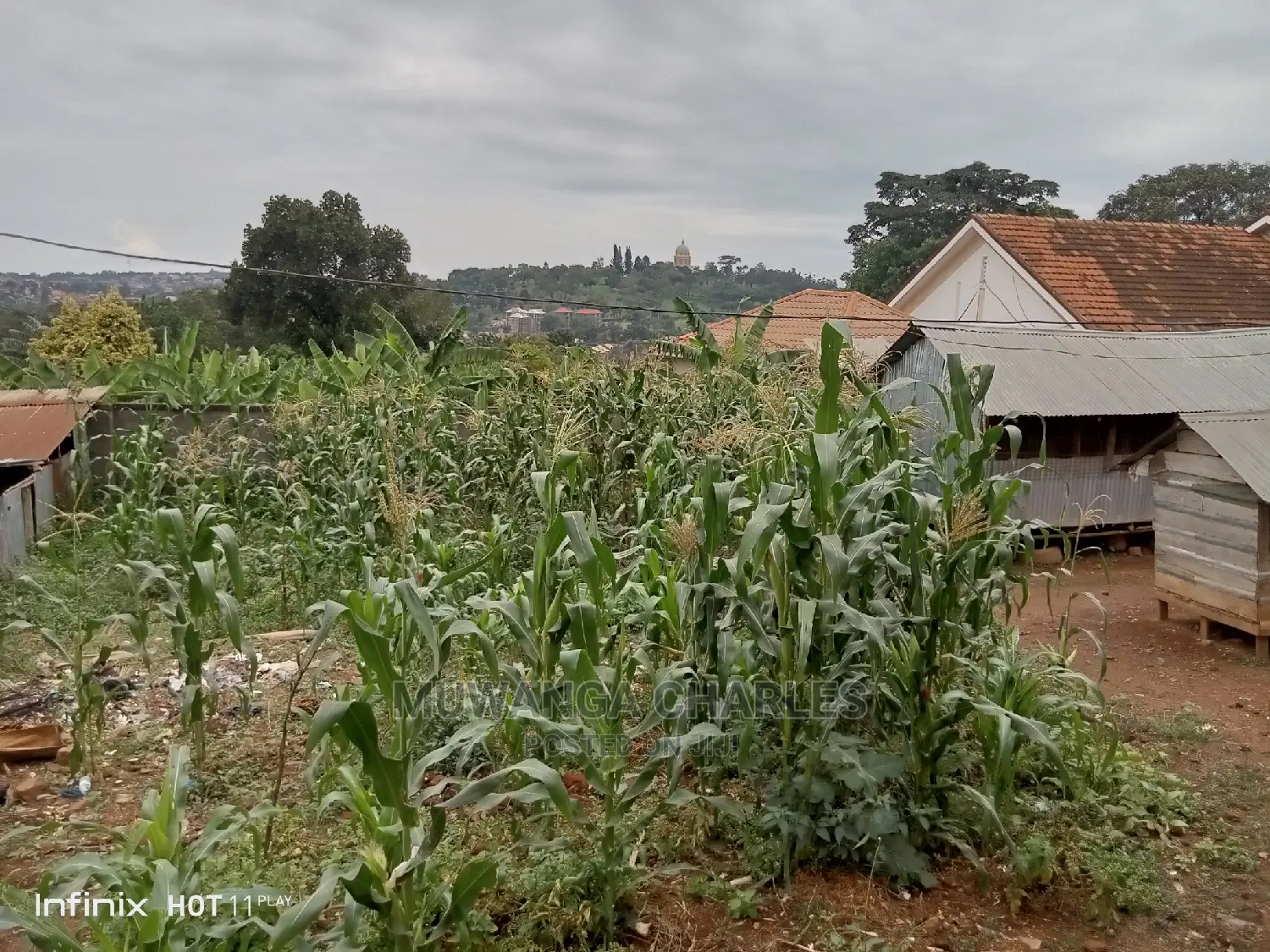 50decimals of Land for in Kyebando