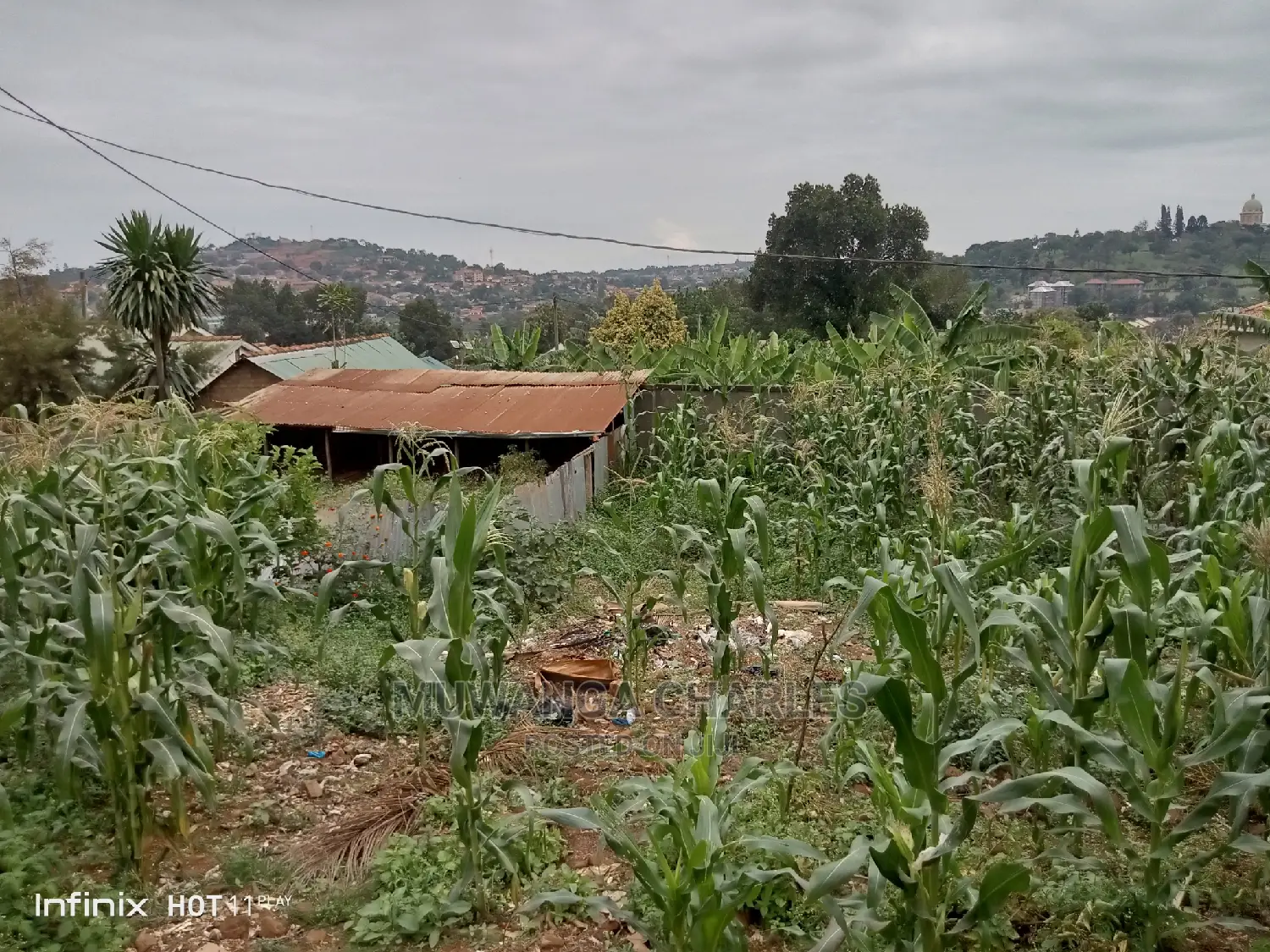 50decimals of Land for in Kyebando