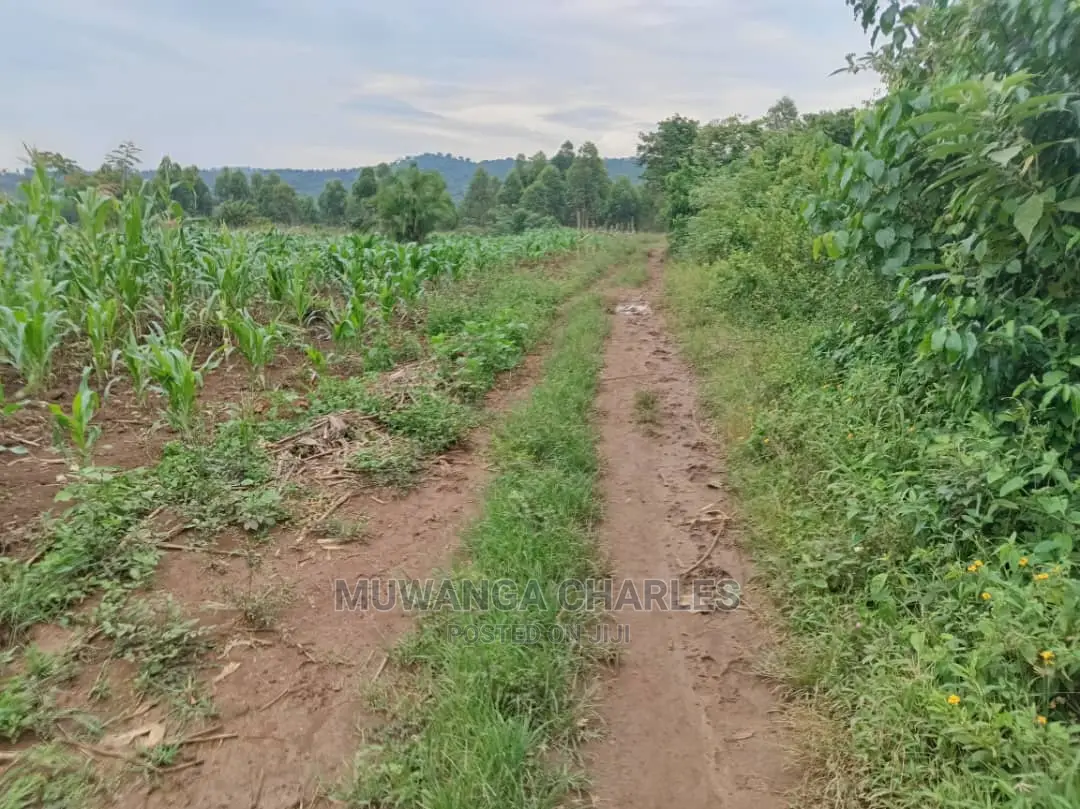 25decimals Plot of Land for Sale in Kira