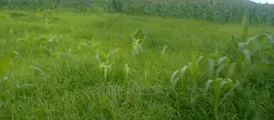 Land on Sell in Luwero