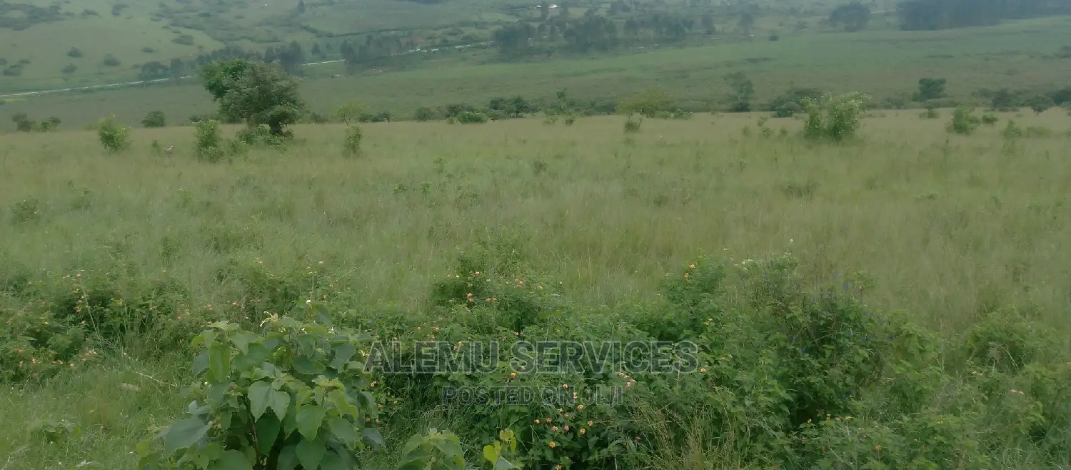 Land on Sell in Luwero