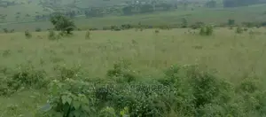 Land on Sell in Luwero