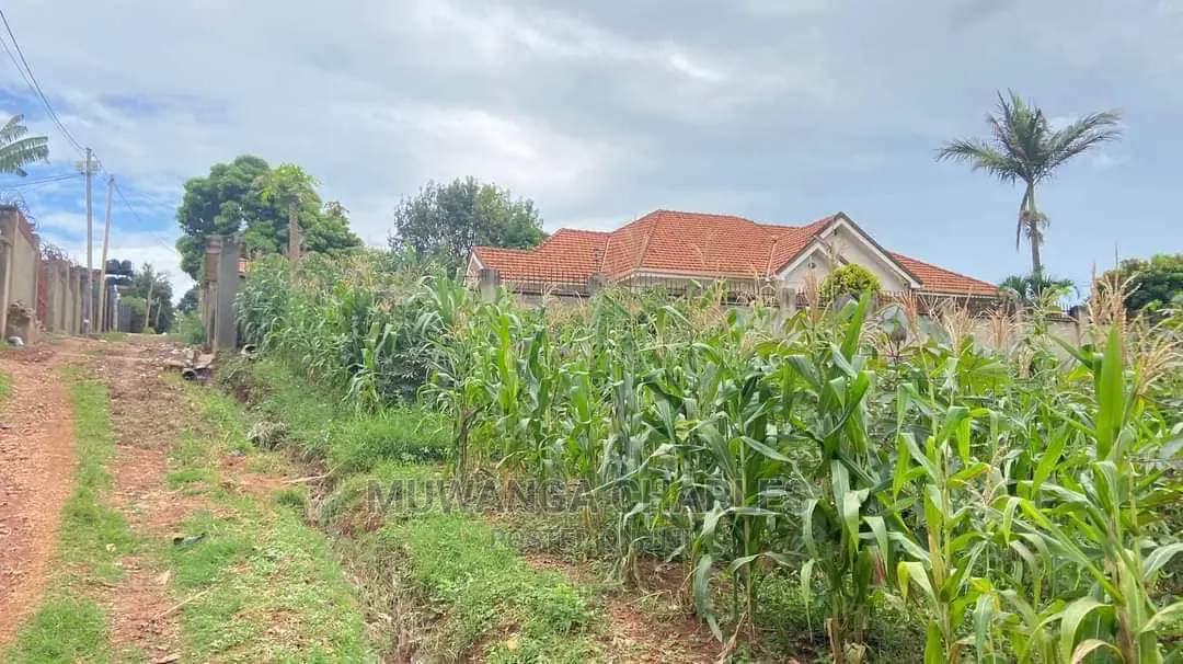 100by100ft Plot for Sale in Buwate