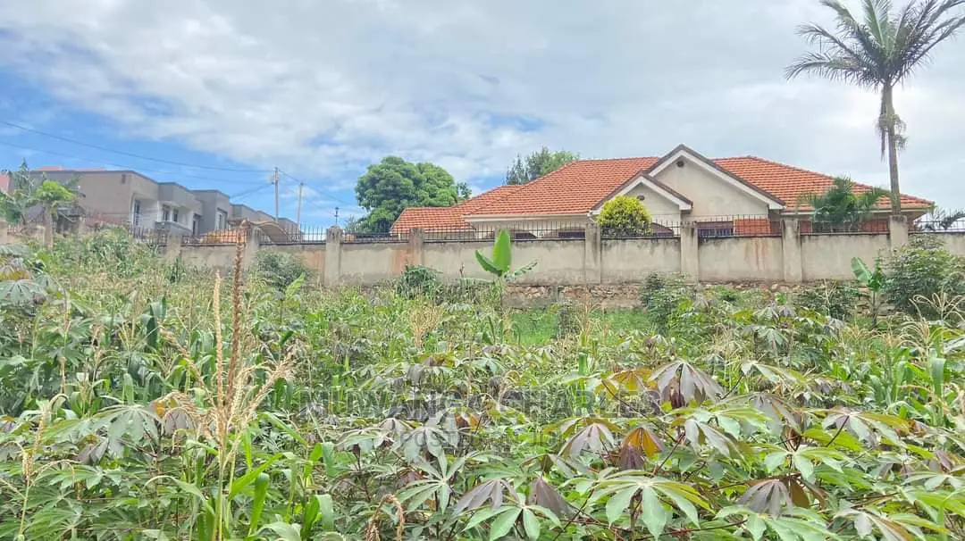 100by100ft Plot for Sale in Buwate