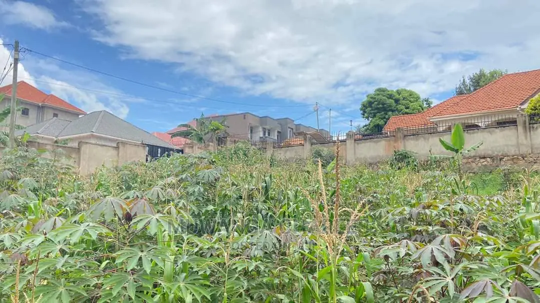 100by100ft Plot for Sale in Buwate
