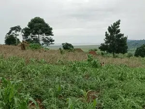 5acres for Sale in Luwero