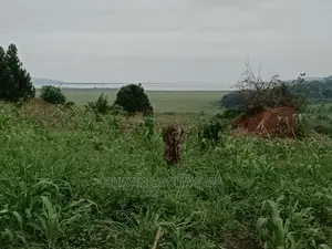 5acres for Sale in Luwero
