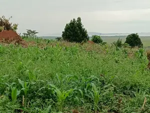 5acres for Sale in Luwero