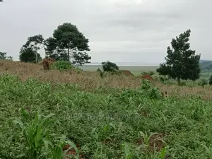 5acres for Sale in Luwero