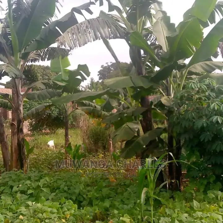 10acres of Land for Sale in Kiwawu