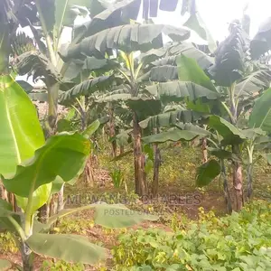 10acres of Land for Sale in Kiwawu