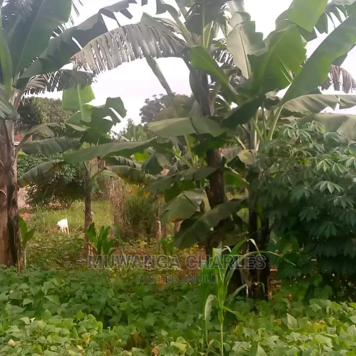 10acres of Land for Sale in Kiwawu