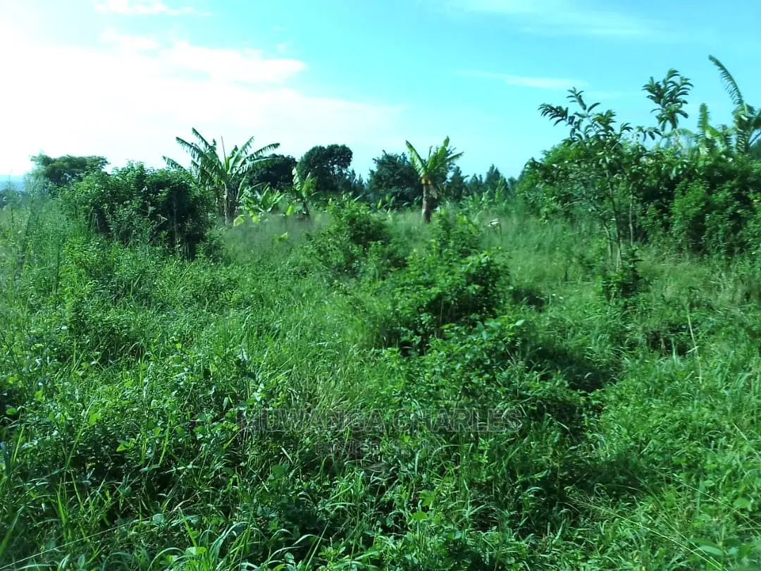 5acres of Land for Sale in Zirobwe Nawoja