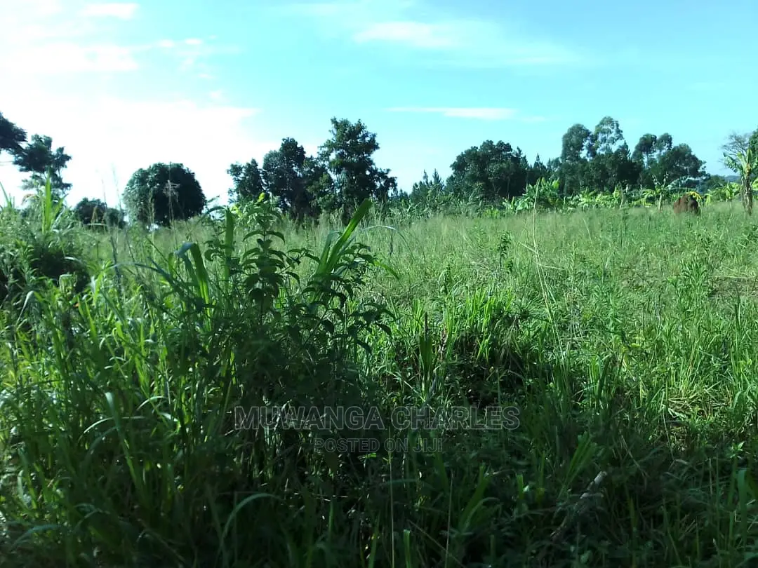5acres of Land for Sale in Zirobwe Nawoja