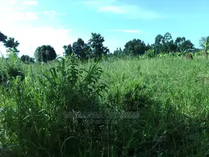 5acres of Land for Sale in Zirobwe Nawoja