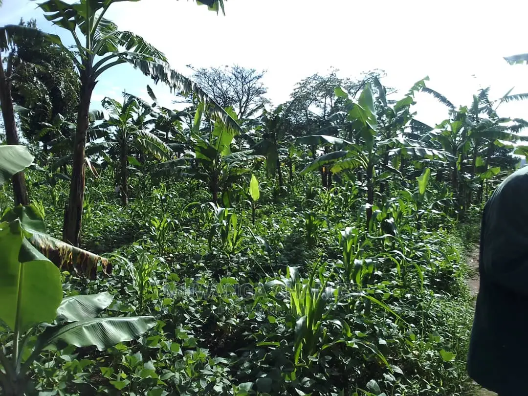 5acres of Land for Sale in Zirobwe Nawoja