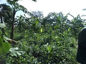 5acres of Land for Sale in Zirobwe Nawoja