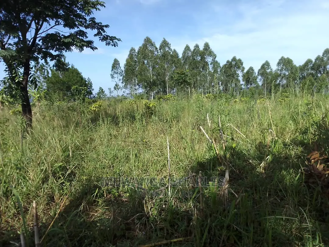 5acres of Land for Sale in Zirobwe Nawoja