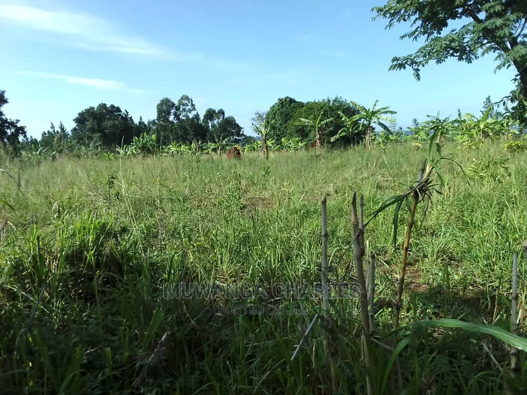 5acres of Land for Sale in Zirobwe Nawoja