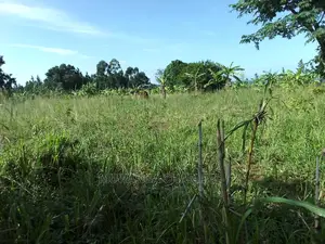 5acres of Land for Sale in Zirobwe Nawoja