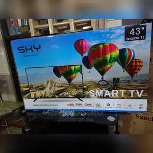Sky 43 Inches Smart Tv