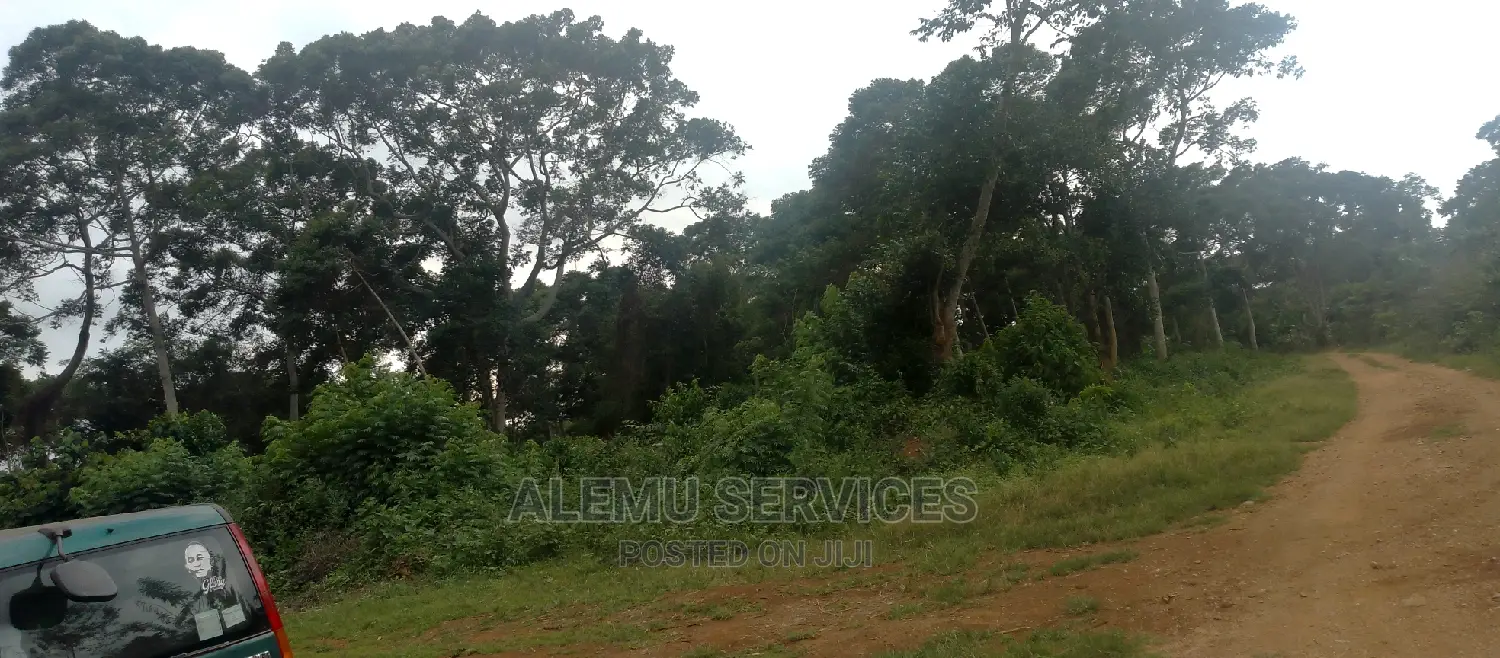 Land on Sell in Kisubi, Entebbe