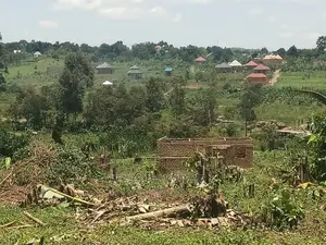 Cheap Small Plots and Land for Sale