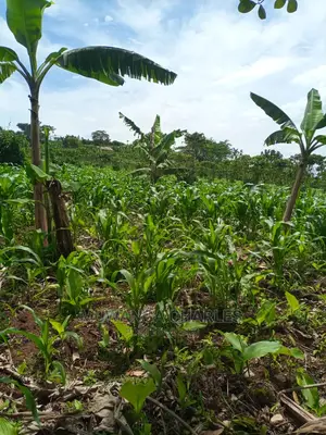 Land for Sale in Wobulenzi