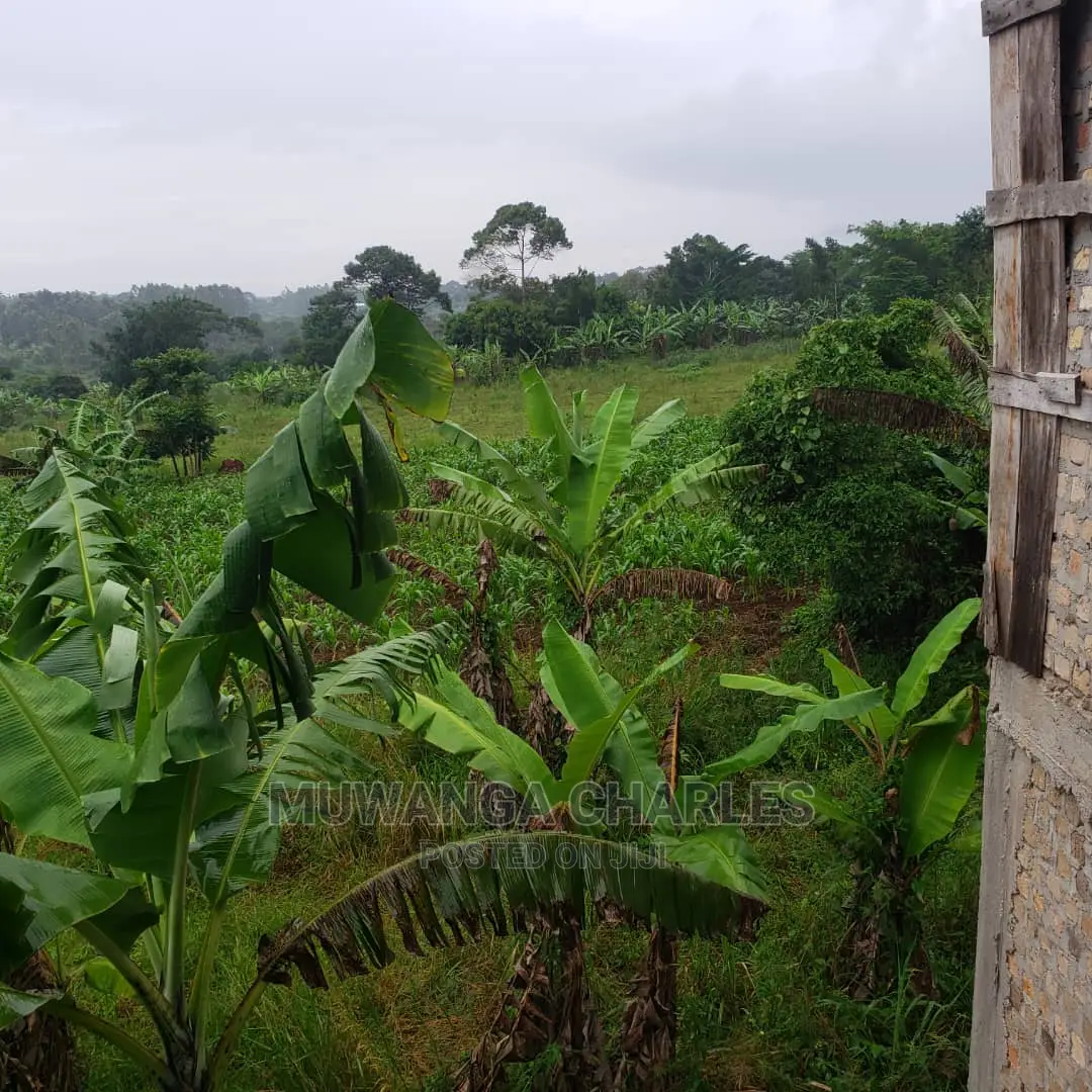 4acres of Land for Sale in Luwero