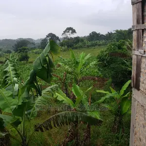4acres of Land for Sale in Luwero