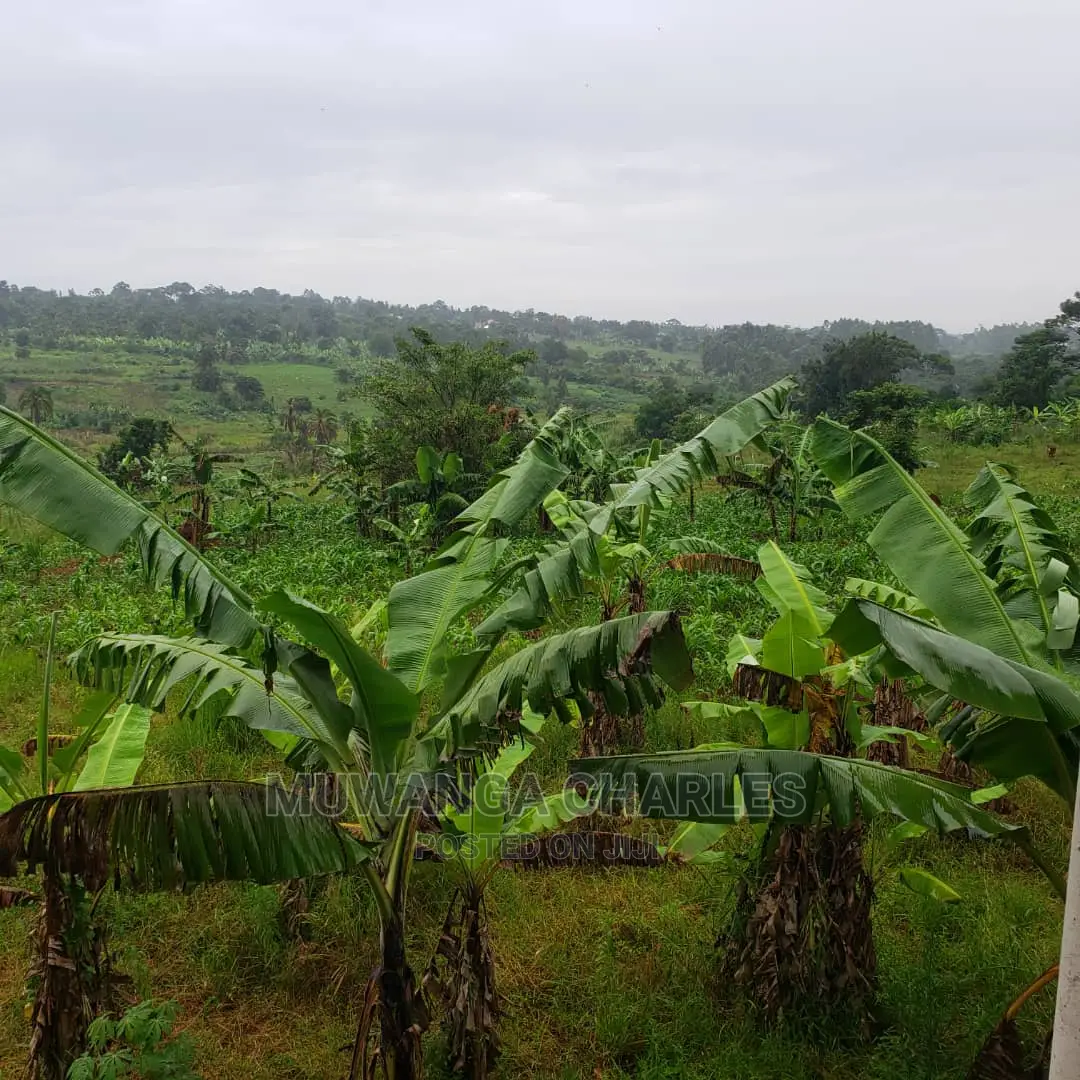 4acres of Land for Sale in Luwero