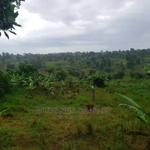 4acres of Land for Sale in Luwero