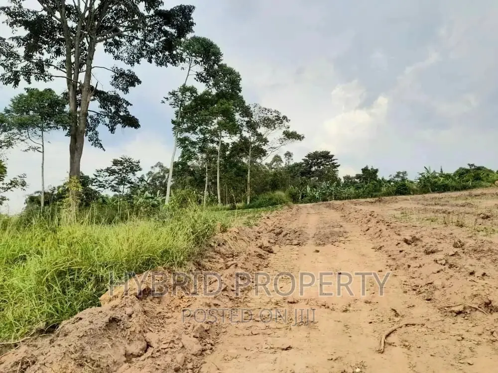 Plots for Sale at Katende~Kiringente Land Estate~Masaka Road