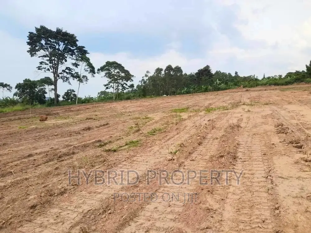 Plots for Sale at Katende~Kiringente Land Estate~Masaka Road